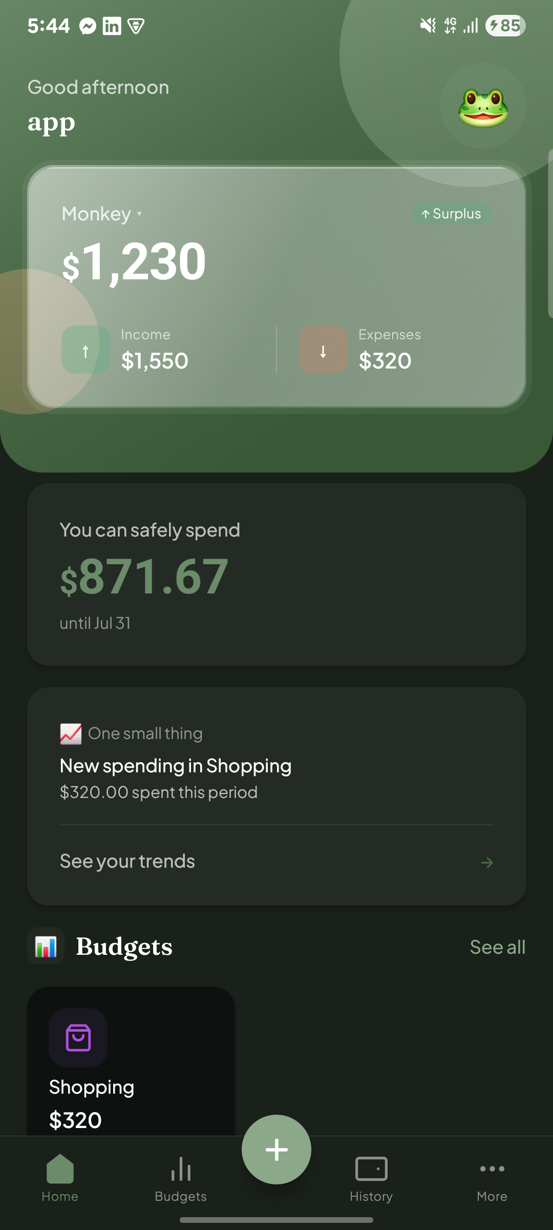 CalmMoney home screen showing a shared budget overview